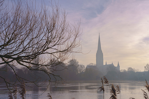 023  Water Meadows Salisbury - 19thJan2023 -  Photo by Ash Mills
