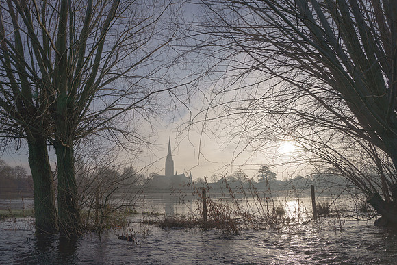 024  Water Meadows Salisbury - 19thJan2023 -  Photo by Ash Mills