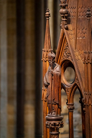 046 Salisbury Cathedral - 5thNov19 -   Photo by Ash Mills