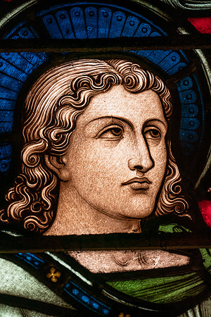 075 Salisbury Cathedral - 5thNov19 -   Photo by Ash Mills