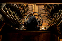 019 Salisbury Cathedral - 5thNov19 -   Photo by Ash Mills