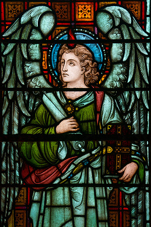 069 Salisbury Cathedral - 5thNov19 -   Photo by Ash Mills