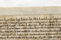 003 Salisbury Cathedral - Magna Carta - Front Overlapping - Ash Mills 13thFeb2015