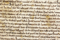 020 Salisbury Cathedral - Magna Carta - Front Overlapping - Ash Mills 13thFeb2015