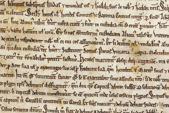 020 Salisbury Cathedral - Magna Carta - Front Overlapping - Ash Mills 13thFeb2015