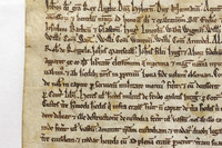 015 Salisbury Cathedral - Magna Carta - Front Overlapping - Ash Mills 13thFeb2015