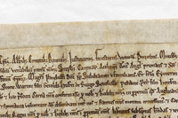 004 Salisbury Cathedral - Magna Carta - Front Overlapping - Ash Mills 13thFeb2015