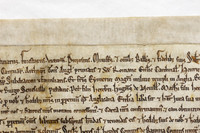 005 Salisbury Cathedral - Magna Carta - Front Overlapping - Ash Mills 13thFeb2015