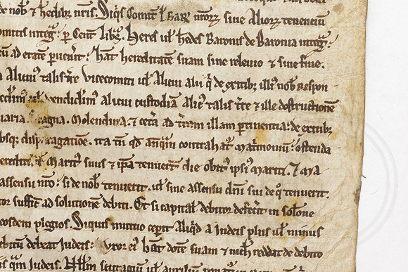 022 Salisbury Cathedral - Magna Carta - Front Overlapping - Ash Mills 13thFeb2015