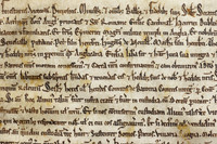 011 Salisbury Cathedral - Magna Carta - Front Overlapping - Ash Mills 13thFeb2015