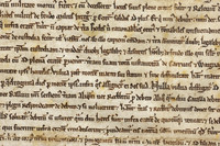 017 Salisbury Cathedral - Magna Carta - Front Overlapping - Ash Mills 13thFeb2015
