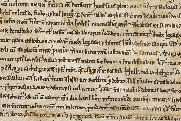 017 Salisbury Cathedral - Magna Carta - Front Overlapping - Ash Mills 13thFeb2015