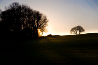 Landscapes