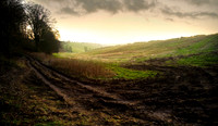 Landscapes