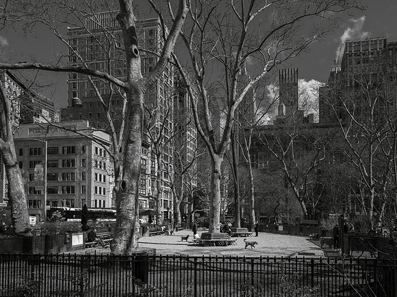 279 - New York 2019 - photo by Ash Mills