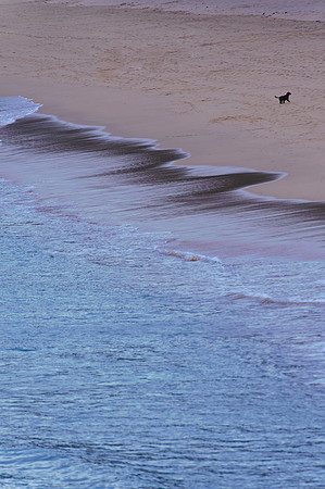 Cornwall 081