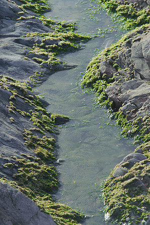 Cornwall 144
