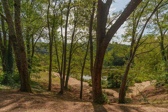 091 Fenies 2024- Photo by Ash Mills