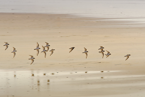 Cornwall 149