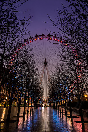 002 London - Magna Carta etc 5thFeb2015 - Ash Mills