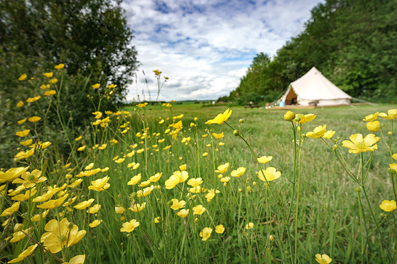 011 6th June 2021 - Chalke Valley Camping  -  Photo by Ash Mills