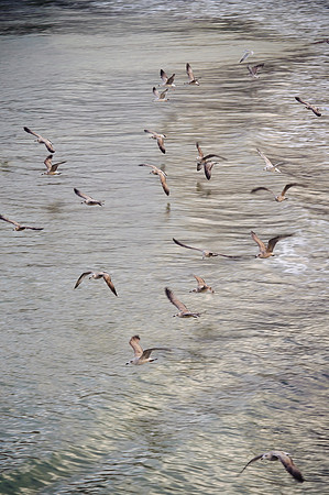 Cornwall 069