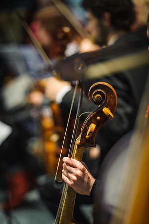 146 La Nuova Musica at Salisbury Cathedral 2ndJune2015- photos by Ash Mills