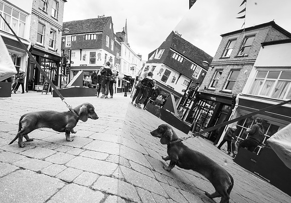 105  22nd May2021 - Tim Scrace Installation in Salisbury - BW - Photo by Ash Mills