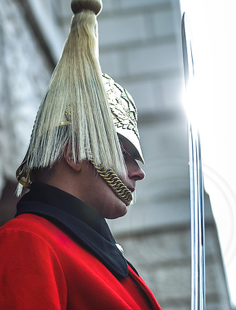 095 London - Magna Carta etc 5thFeb2015 - Ash Mills