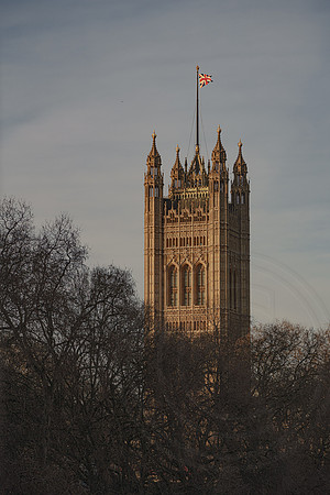 002 31st Jan 2022 - London - photo by Ash Mills