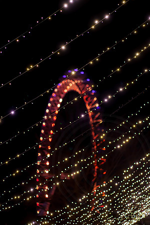 006 31st Jan 2022 - London - photo by Ash Mills