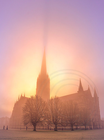 005 21stJan2020 - Salisbury Cathedral -   Photo by Ash Mills