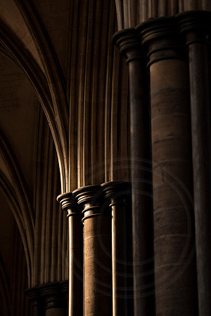 032 18thNov2019 _Salcath Misc etc - Photo by Ash Mills