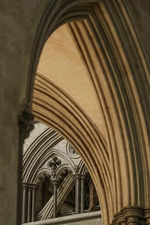 028 18thNov2019 _Salcath Misc etc - Photo by Ash Mills