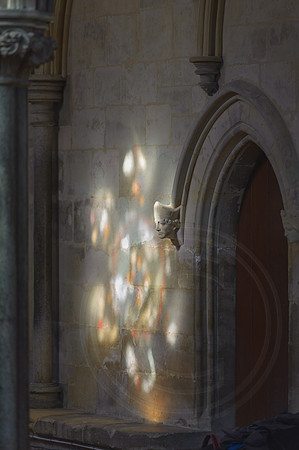 137  Salisbury Cathedral - Magna Carta Exhibition 27thFeb- Ash Mills