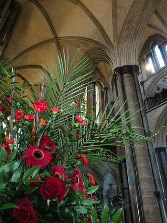 190 Renamed - Magna Flora Flower Festival - by Ash Mills