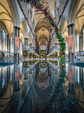 197 Renamed - Magna Flora Flower Festival - by Ash Mills