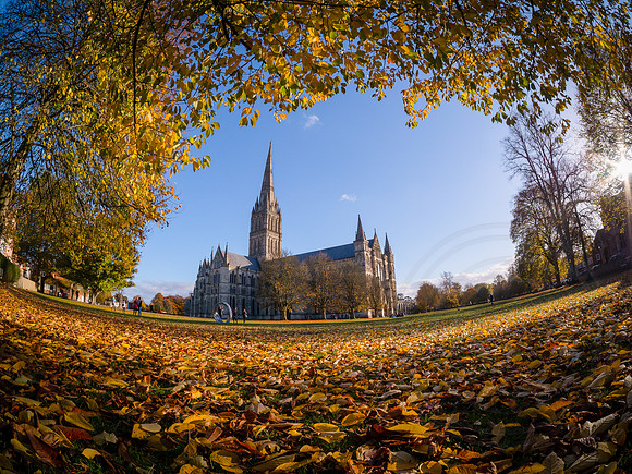 006 5th November 2016 - Salisbury Cathedral -  photo by Ash Mills