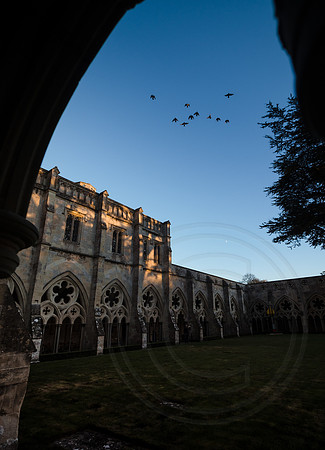 068   27thOctober2017 - Salisbury Cathedral - Photo by Ash Mills