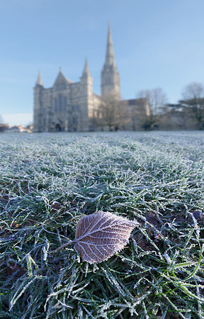 004   12thDec2017 -  Salisbury Cathedral -  Photo by Ash Mills