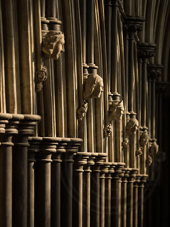 Salisbury Cathedral 21022018_Photo by Ash Mills 0030