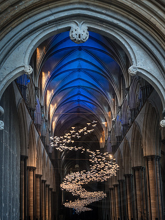 0015 14th May 2018 - Salisbury Cathedral - photo by Ash Mills