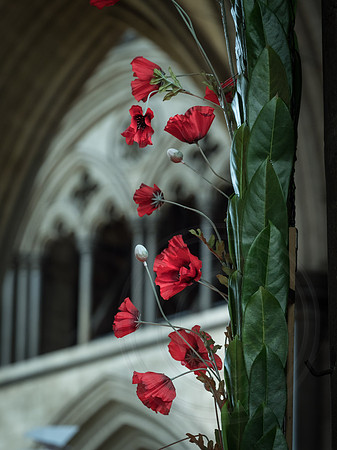 0006 - July2018 - SCF - photo by Ash Mills