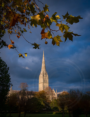 076 2Nov2018 - Photo by Ash Mills