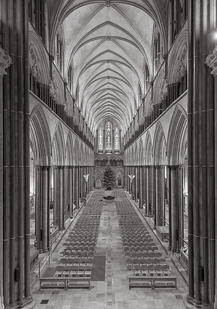 052 24Jan2019_SalisburyCathedral_Photo by Ash Mills