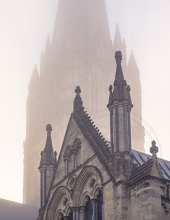 006 12Feb2019_Salisbury Cathedral_Photo by Ash Mills