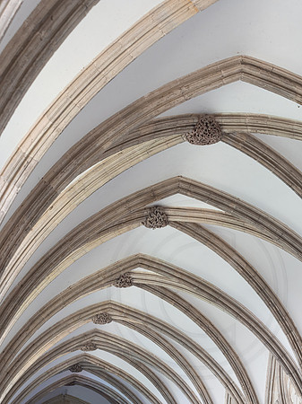 093  23May2019 - Salisbury Cathedral -  - Photo by Ash Mills