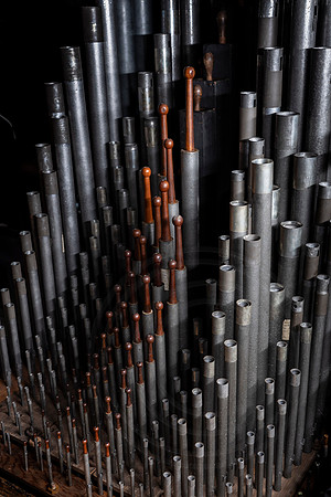 090 Salisbury Cathedral 7thNov2019 -   Photo by Ash Mills