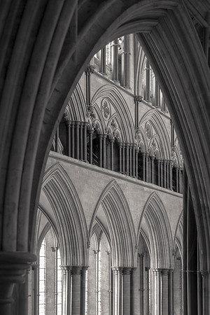 100 12thNov2019 - Salisbury Cathedral  -   Photo by Ash Mills