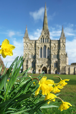 057 Salisbury - 8thMarch2020 - Photo by Ash Mills